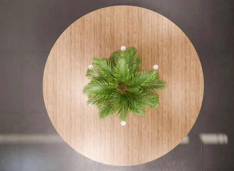 Top-down view of Orbital table with wood finish and greenery